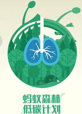 怎樣獲取螞蟻森林能量去種樹，去做公益活動呢？