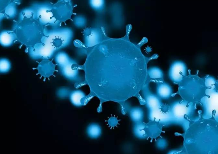 新冠病毒更喜歡脂肪嗎？肥胖人群是不是更容易感染新冠？