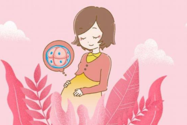 泰國試管嬰兒費(fèi)用是多少？泰國試管嬰兒成功率高嗎？